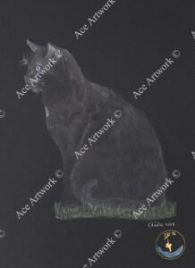 A colour pencil drawing of a black cat sitting on grass, drawn on a black background. The image is watermarked with a logo, copyright symbol and the following text: Ace Artwork ©
