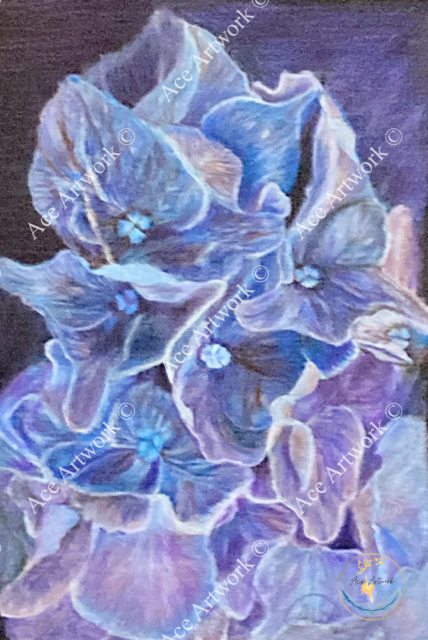 A coloured pencil drawing of a blue Hydrangea on a dark background. The image is watermarked with a logo, copyright symbol and the following text: Ace Artwork ©