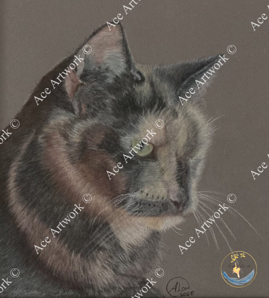 A colour pencil drawing of a tortoiseshell cat on a grey background. The image is watermarked with a logo, copyright symbol and the following text: Ace Artwork ©