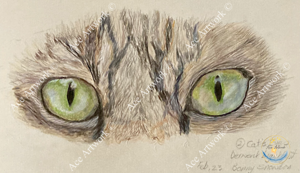 A colour pencil study of a striped cat with green eyes and a grey, black and brown mask. Drawn on a pale coloured background. The image is watermarked with a logo, copyright symbol and the following text: Ace Artwork ©