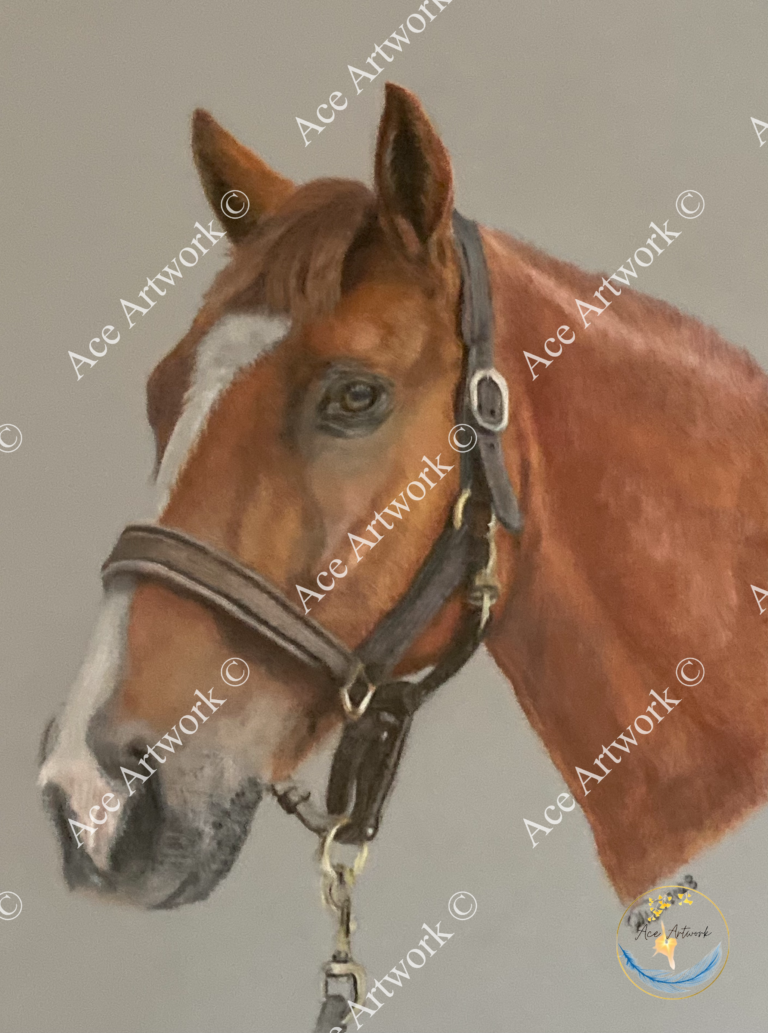 A colour pencil drawing of a chestnut horse with a white blaze wearing a brown leather headcollar. The background is pale. The image is watermarked with a logo, copyright symbol and the following text: Ace Artwork ©