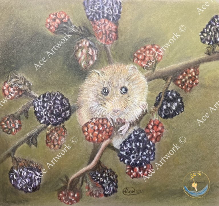 A colour pencil drawing of a Dormouse on a bramble plant with a medium coloured background. The image is watermarked with a logo, copyright symbol and the following text: Ace Artwork ©