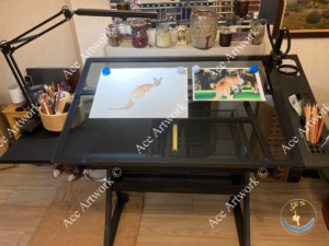 An image of a drawing table with a partially completed drawing of a Red Kangaroo. There is a section of colour pencils and a light on the table. The image is watermarked with a logo, copyright symbol and the following text: Ace Artwork ©