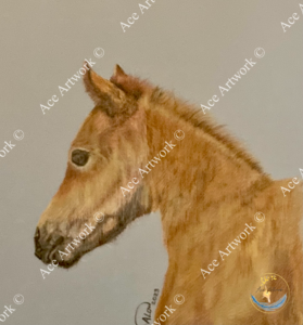 A colour pencil drawing of a chestnut foal on a pale background. The image is watermarked with a logo, copyright symbol and the following text: Ace Artwork ©
