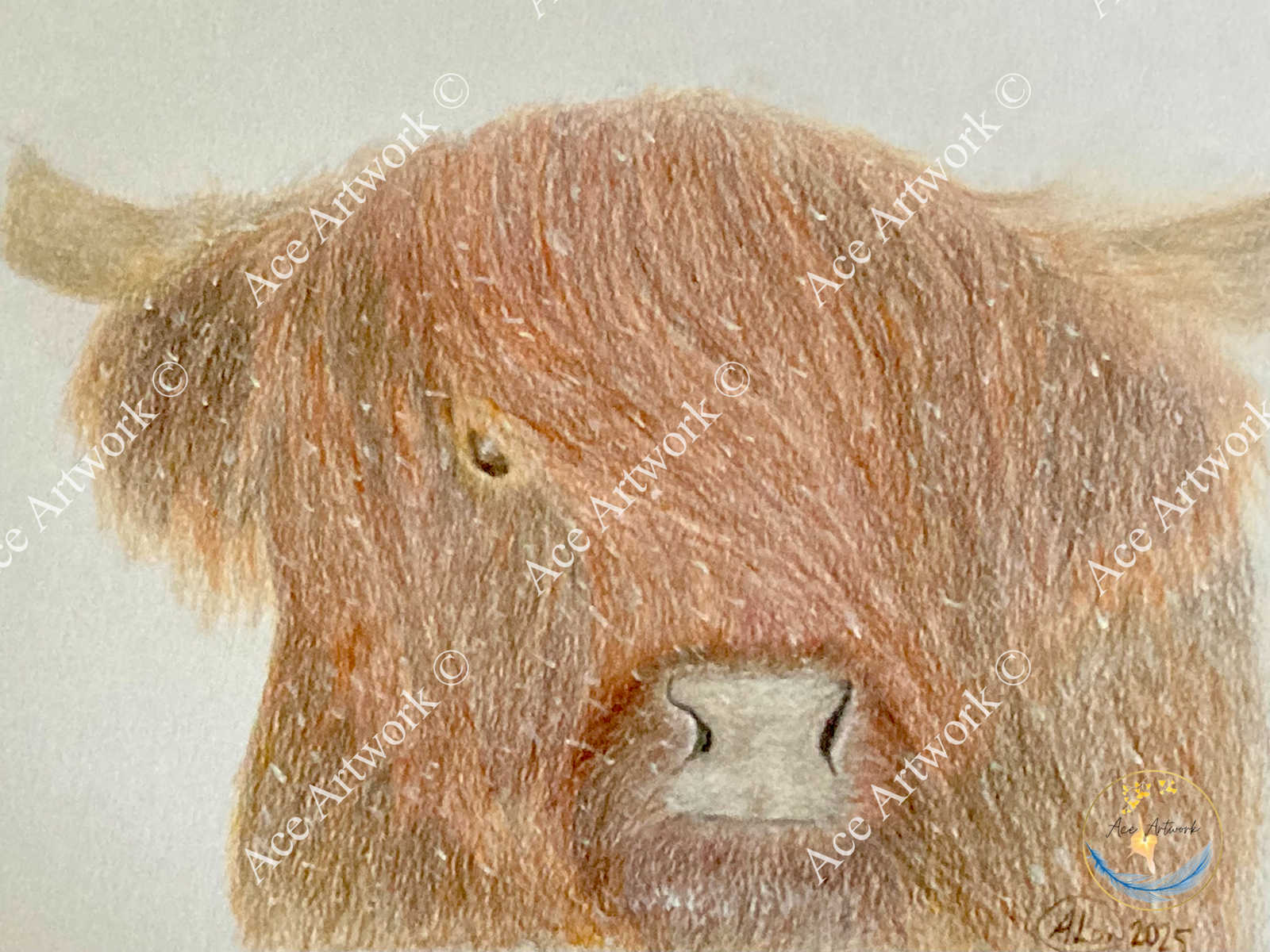 A colour pencil drawing of a brown Highland Cow in a snowstorm. The image is watermarked with a logo, copyright symbol and the following text: Ace Artwork ©