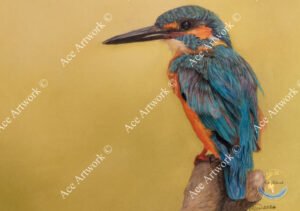 This vivid colour pencil drawing depicts a male Kingfisher sitting on a branch and has a yellow background. The image is watermarked with a logo, copyright symbol and the following text: Ace Artwork ©