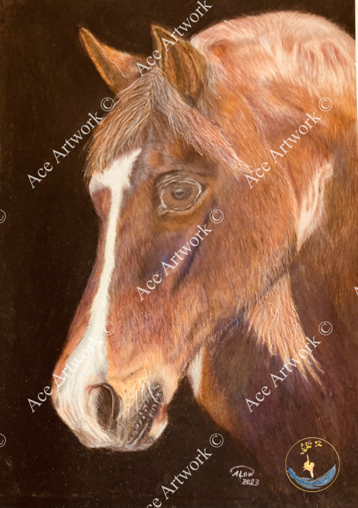 A colour pencil drawing of the head of a chestnut horse with a white blaze drawn on a dark background. The image is watermarked with a logo, copyright symbol and the following text: Ace Artwork ©