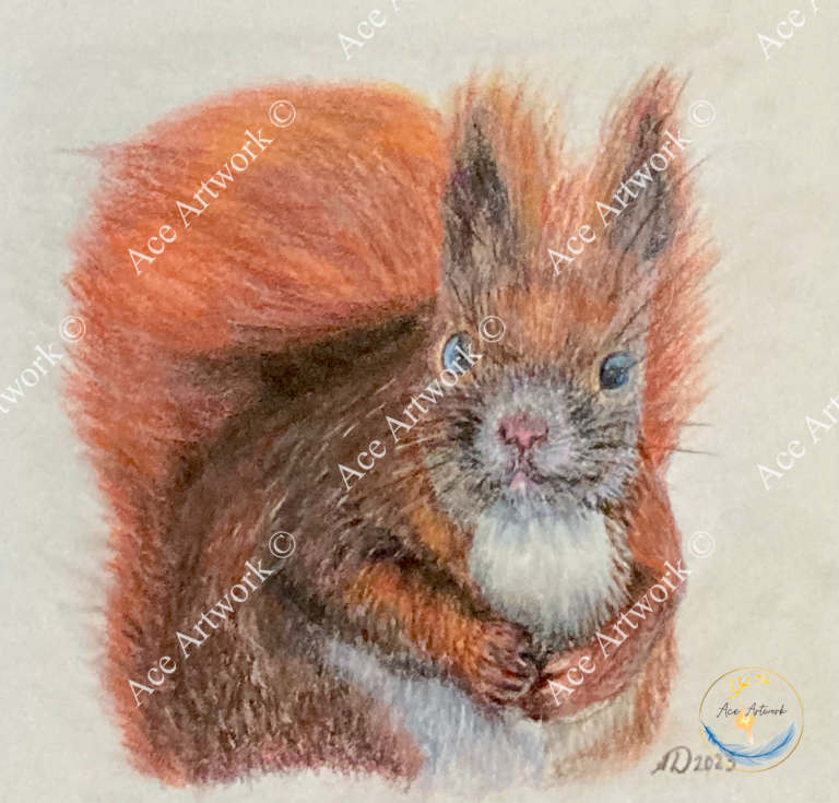A colour pencil drawing of a red squirrel on a pale background. The image is watermarked with a logo, copyright symbol and the following text: Ace Artwork ©
