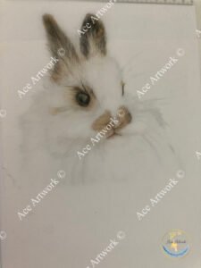 Fluffy Bunny, 2023 ©