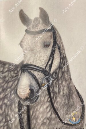 Dapple Grey 1 - medium - portrait - greeting card - 127mm x 178mm - blank inside - product image