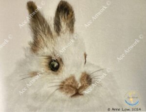Fluffy Bunny 1 - medium - landscape - greeting card - 178mm x 127mm - blank inside - product image