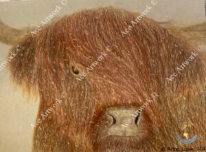 Highland Cow in Snow 1 - medium - landscape - greeting card - 178mm x 127mm - blank inside - product image
