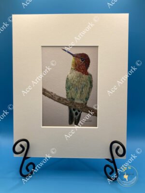 Coloured pencil illustration of a hummingbird perched on a branch with iridescent green and blue feathers.