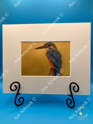 Coloured pencil illustration of a kingfisher perched on a branch with vivid blue and orange plumage.
