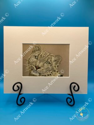 Coloured pencil illustration of a snow leopard’s face with soft fur texture and pale, piercing eyes.