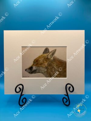Coloured pencil illustration of a red fox standing with a soft, alert expression.