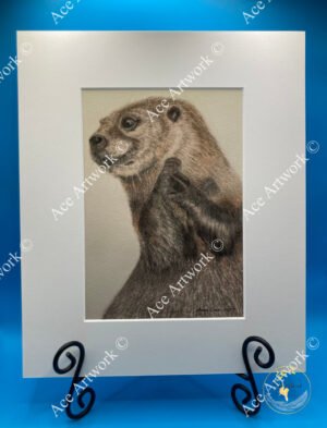 Coloured pencil illustration of an otter sitting upright with a gentle, curious expression.