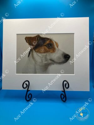 Coloured pencil illustration of a Jack Russell Terrier sitting upright with a gentle expression.