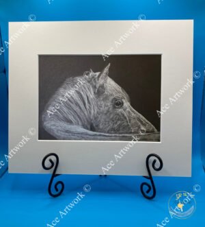 White pony drawn in coloured pencil, resting its head on a dark surface, framed with a light mount.