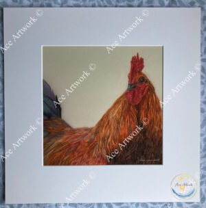 Coloured pencil drawing of a rooster with vibrant red, orange, and blue plumage, framed with a white mount.