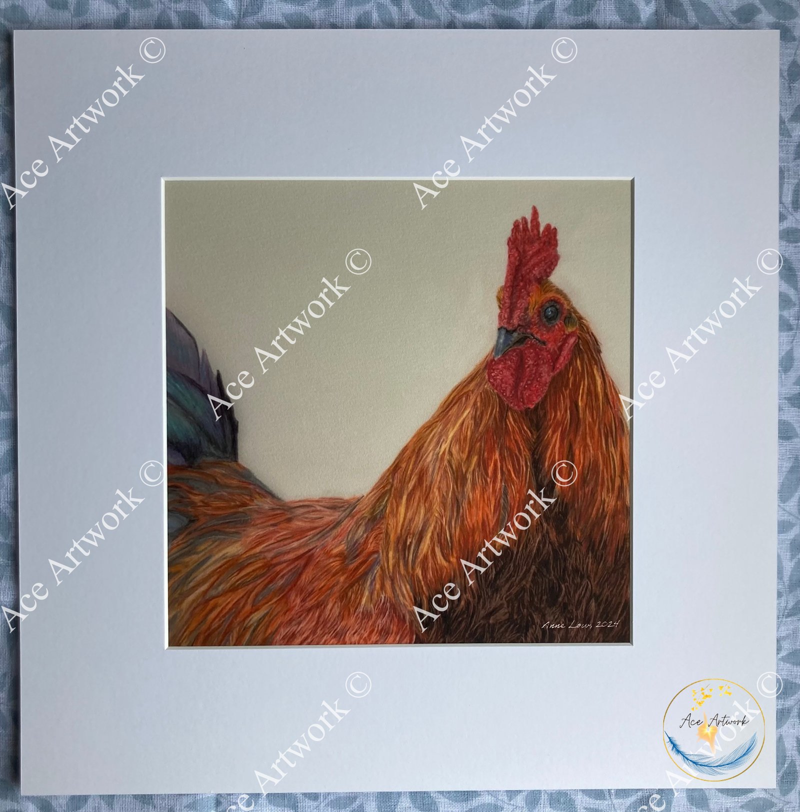 Coloured pencil drawing of a rooster with vibrant red, orange, and blue plumage, framed with a white mount.