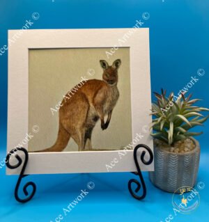 Coloured Pencil illustration of a standing red kangaroo with detailed fur texture on a light background.