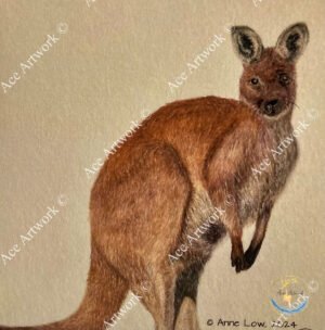 Kangaroo 1 - medium - square - greeting card - 150mm x 150mm - blank inside - product image