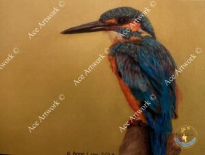 Kingfisher 1 - medium - landscape - greeting card - 178mm x 127mm - blank inside - product image