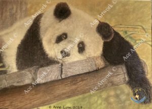 Lazy Panda1 - medium - portrait - greeting card - 127mm x 178mm - blank inside - product image