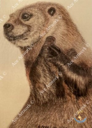 Otter 1 - medium - portrait - greeting card - 127mm x 178mm - blank inside - product image