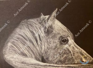 White Pony on Black 1 - medium - landscape - greeting card - 178mm x 127mm - blank inside - product image