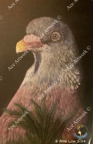 Wood-pigeon-medium - portrait - greeting card - 127mm x 178mm - blank inside - product image
